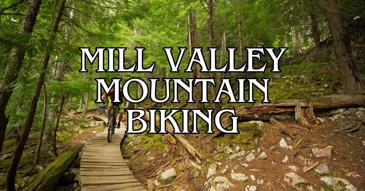Mill Valley Mountain Biking