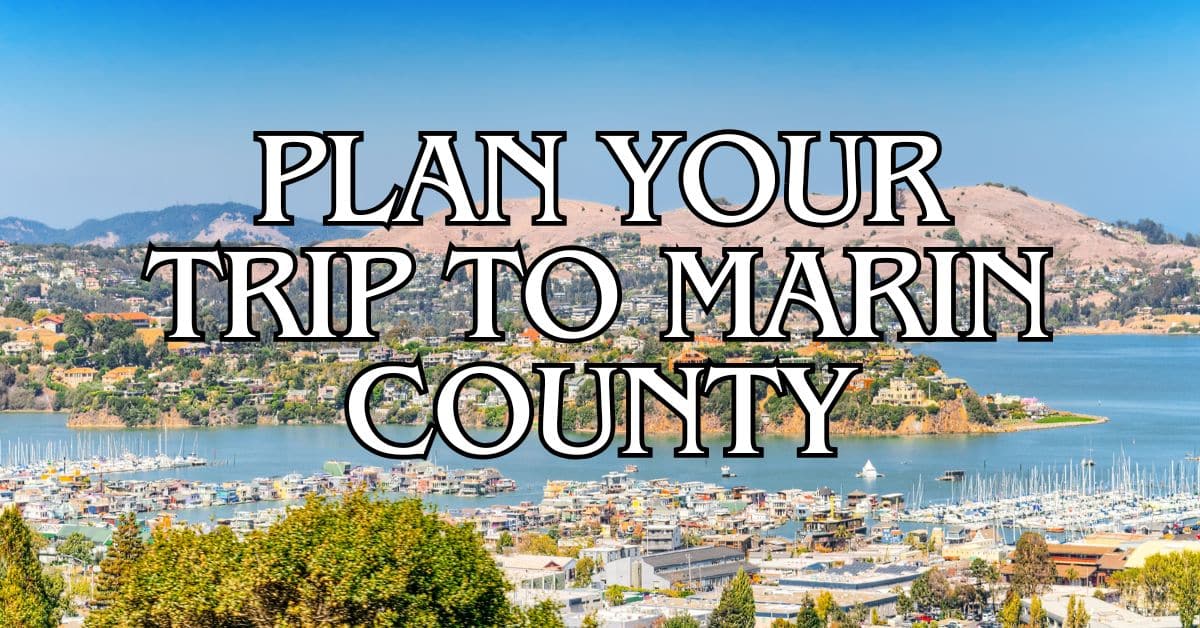 Your Ultimate Guide To Marin County Events And Activities Marin Your Ultimate Guide To Marin County Events And Activities Marin