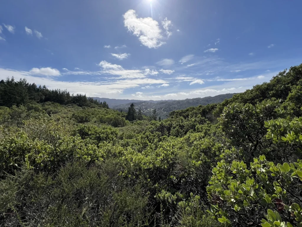 Camp Tamarancho Loop