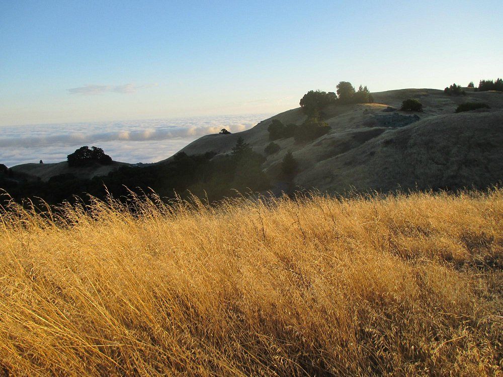 Mount Tamalpais State Park