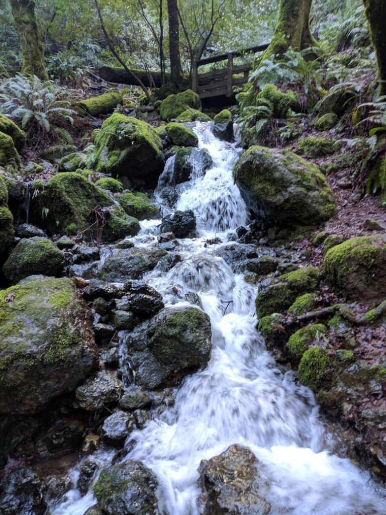 Mount Tamalpais State Park