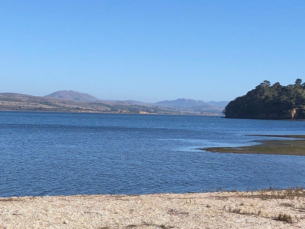 Tomales Bay