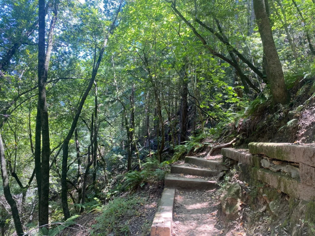 Baltimore Canyon Open Space Preserve