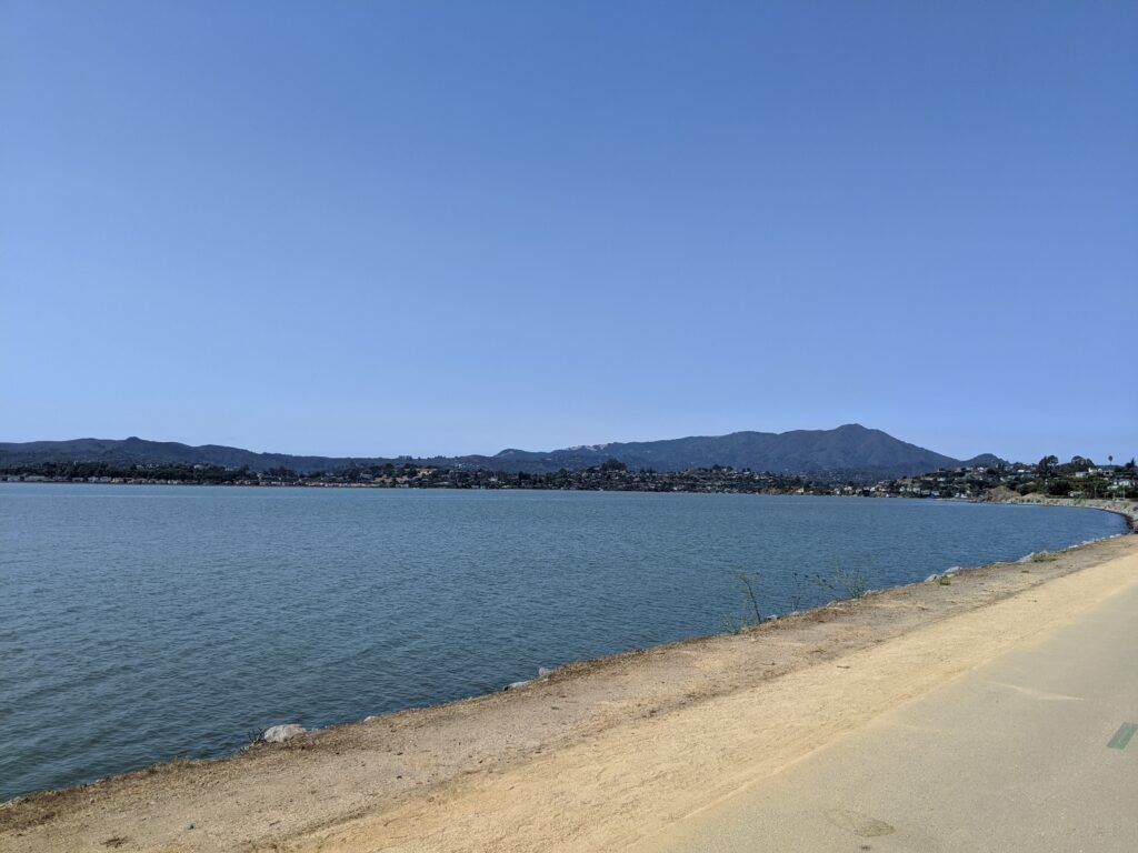 Blackies Pasture