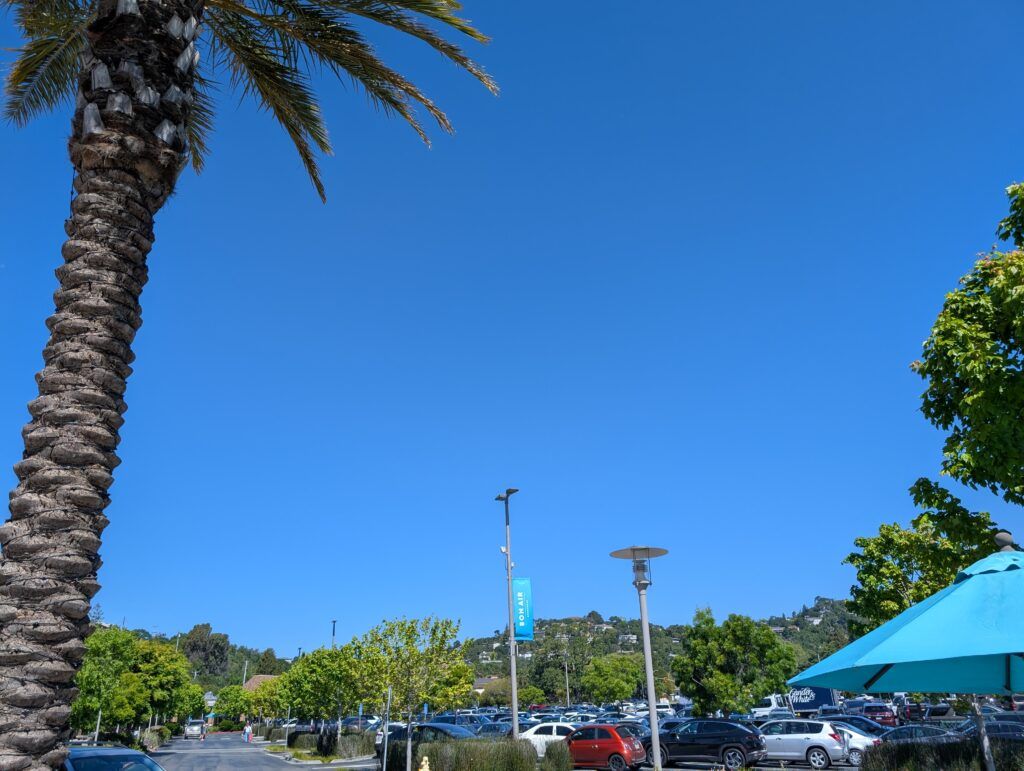 Bon Air Greenbrae