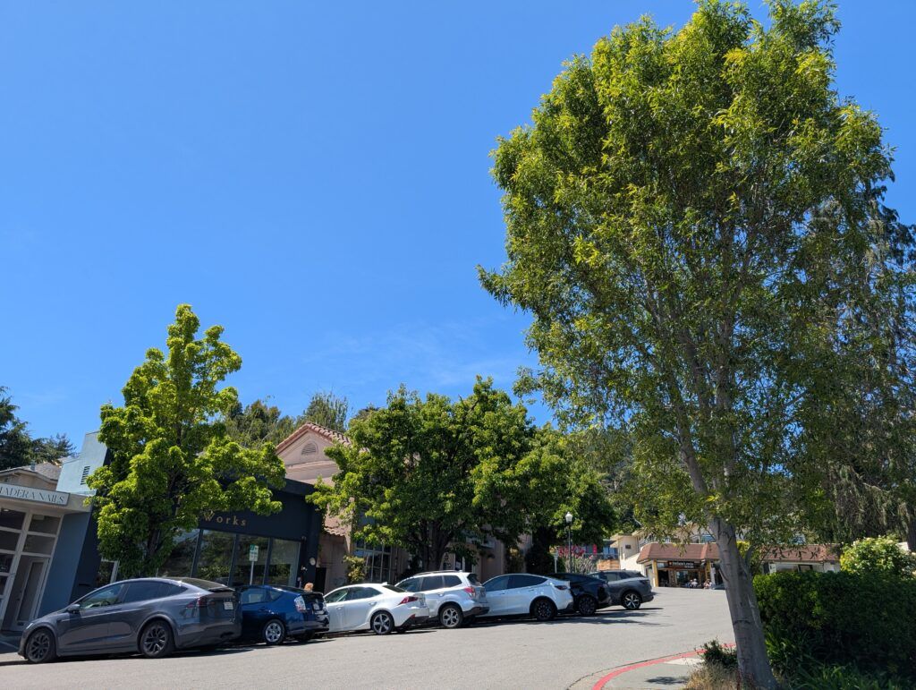 Corte Madera