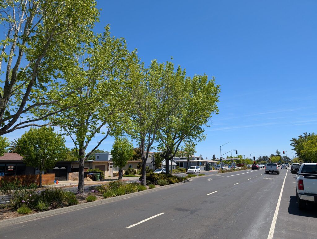 Corte Madera