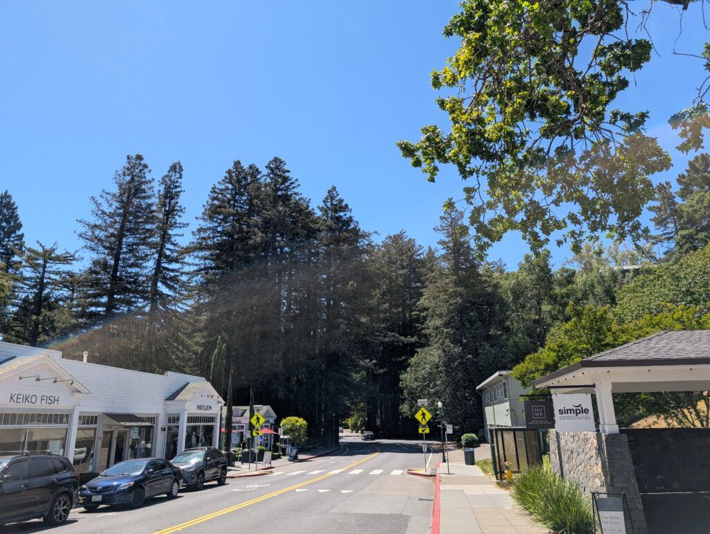 Downtown Larkspur