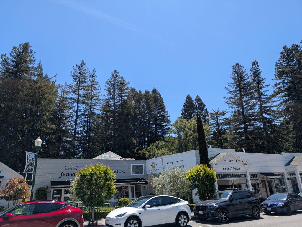 Downtown Larkspur