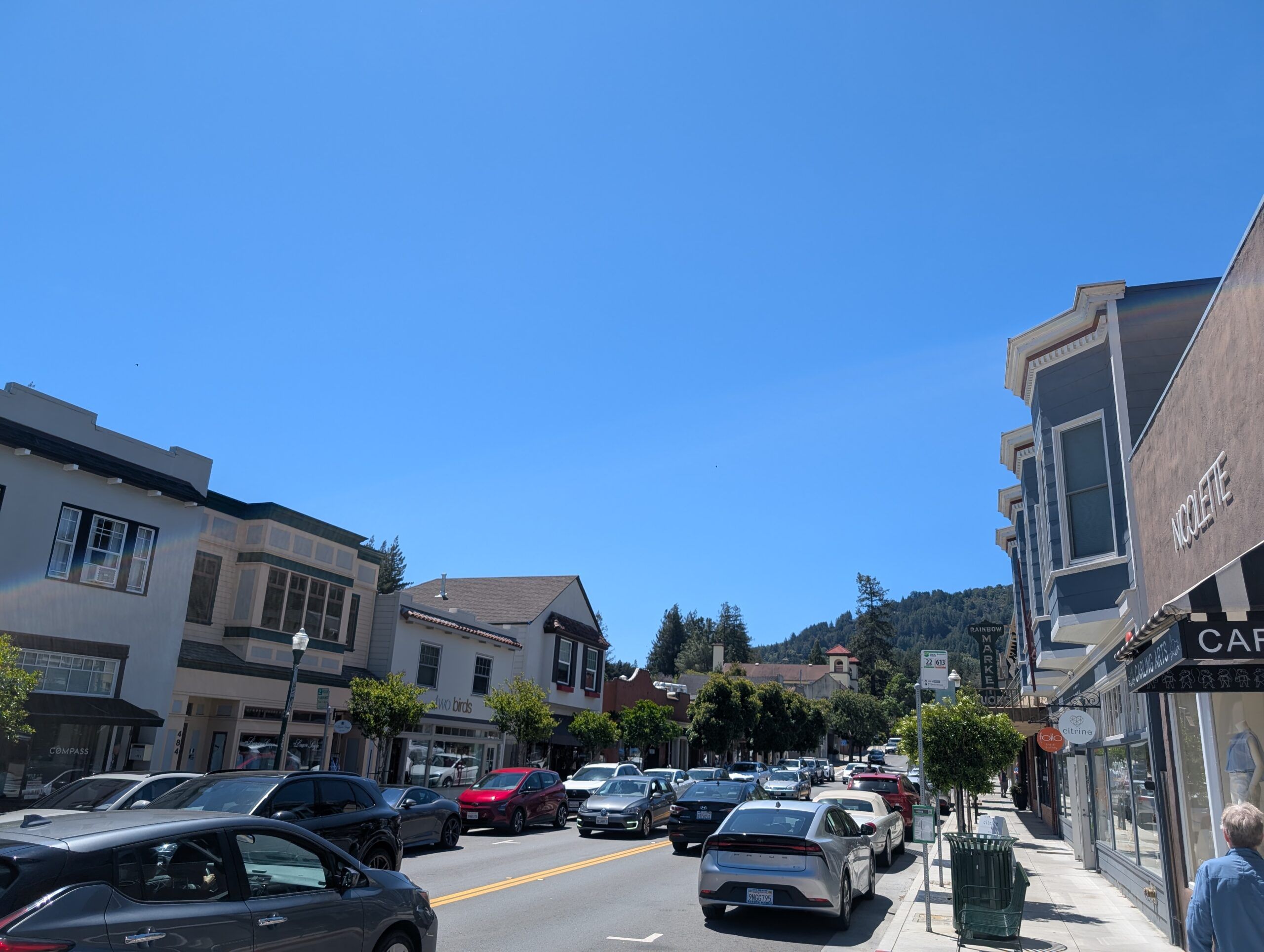 Downtown Larkspur