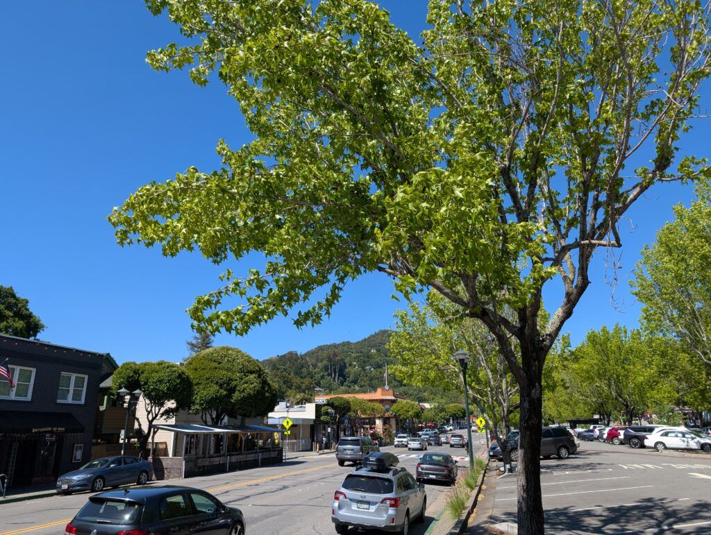 Fairfax