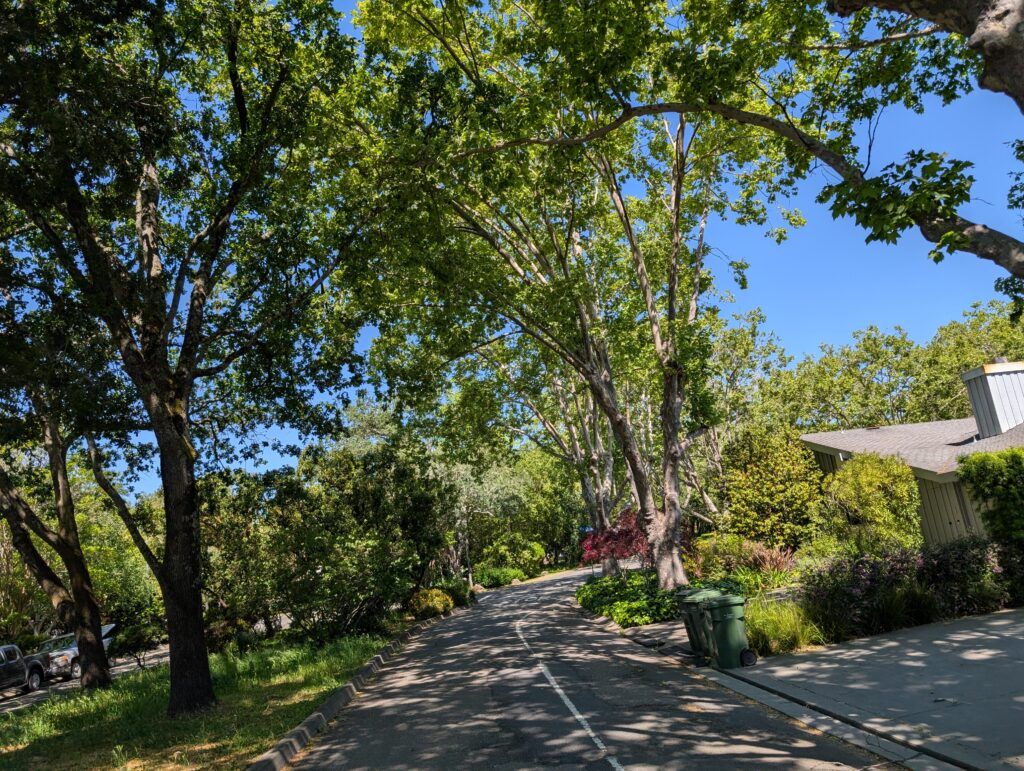 Greenbrae
