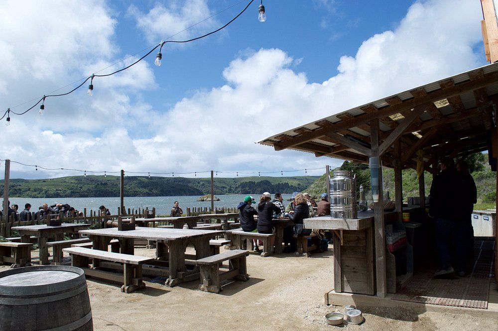 Hog Island Oyster Co
