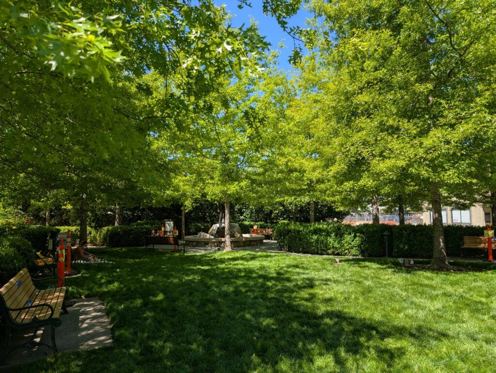 Imagination Park In San Anselmo