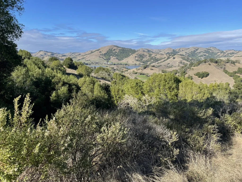 Indian Tree Open Space Preserve