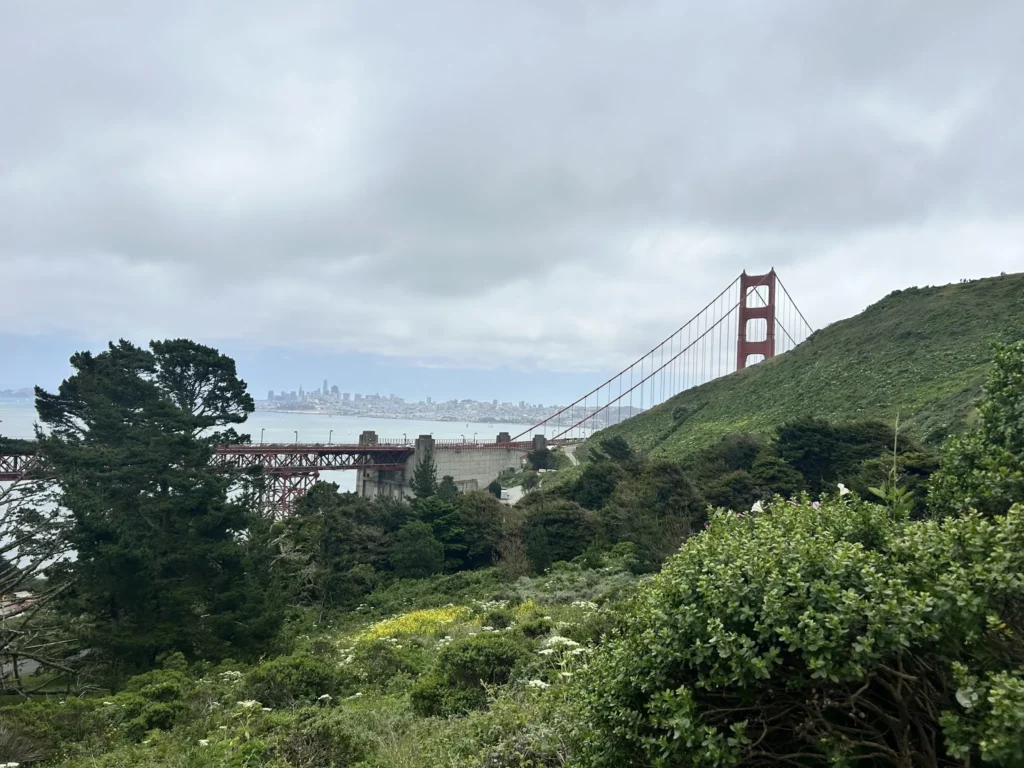 Kirby Cove