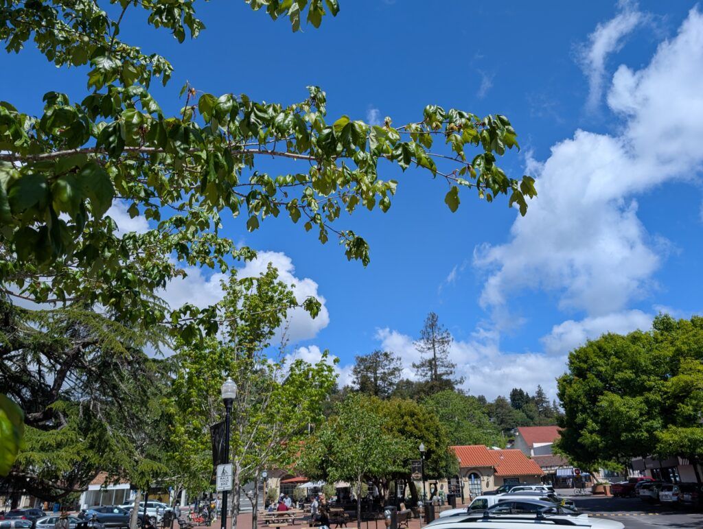 Mill Valley