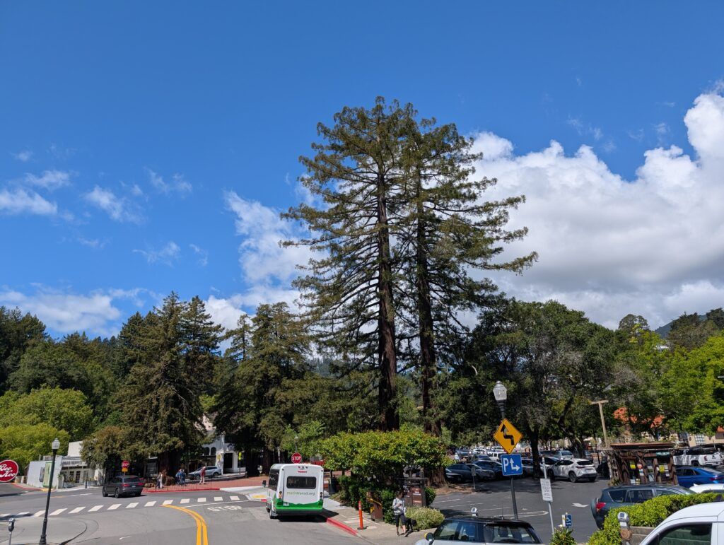 Mill Valley