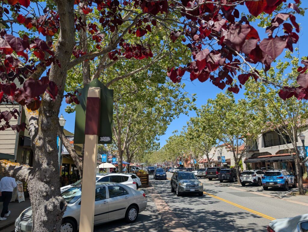 Novato