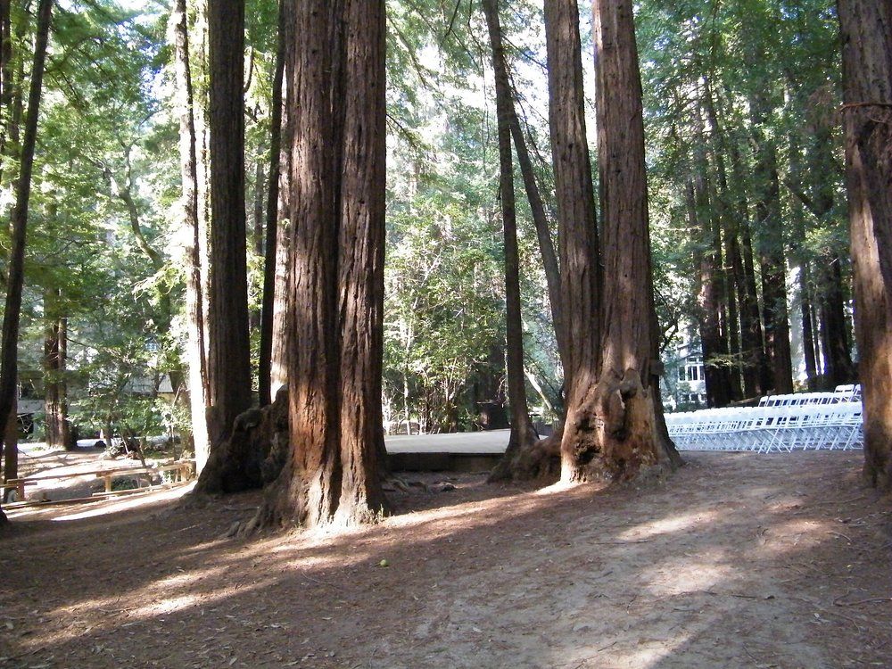 Old Mill Park