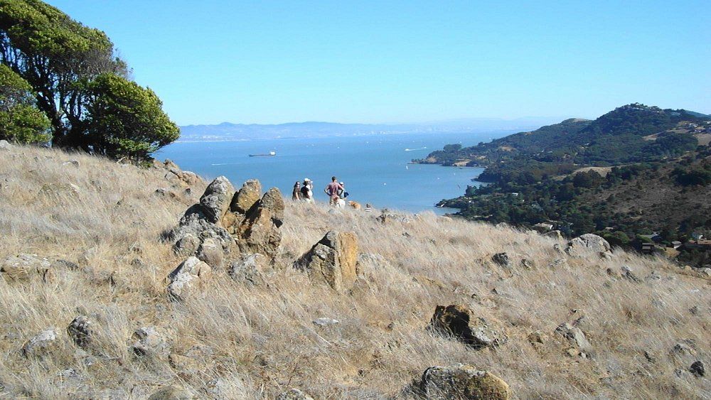Ring Mountain Open Space Preserve