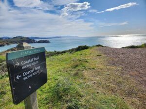 Rodeo Beach Travel Guide – Accessibility, Amenities, Activities, and ...