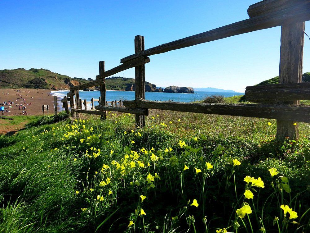Rodeo Beach