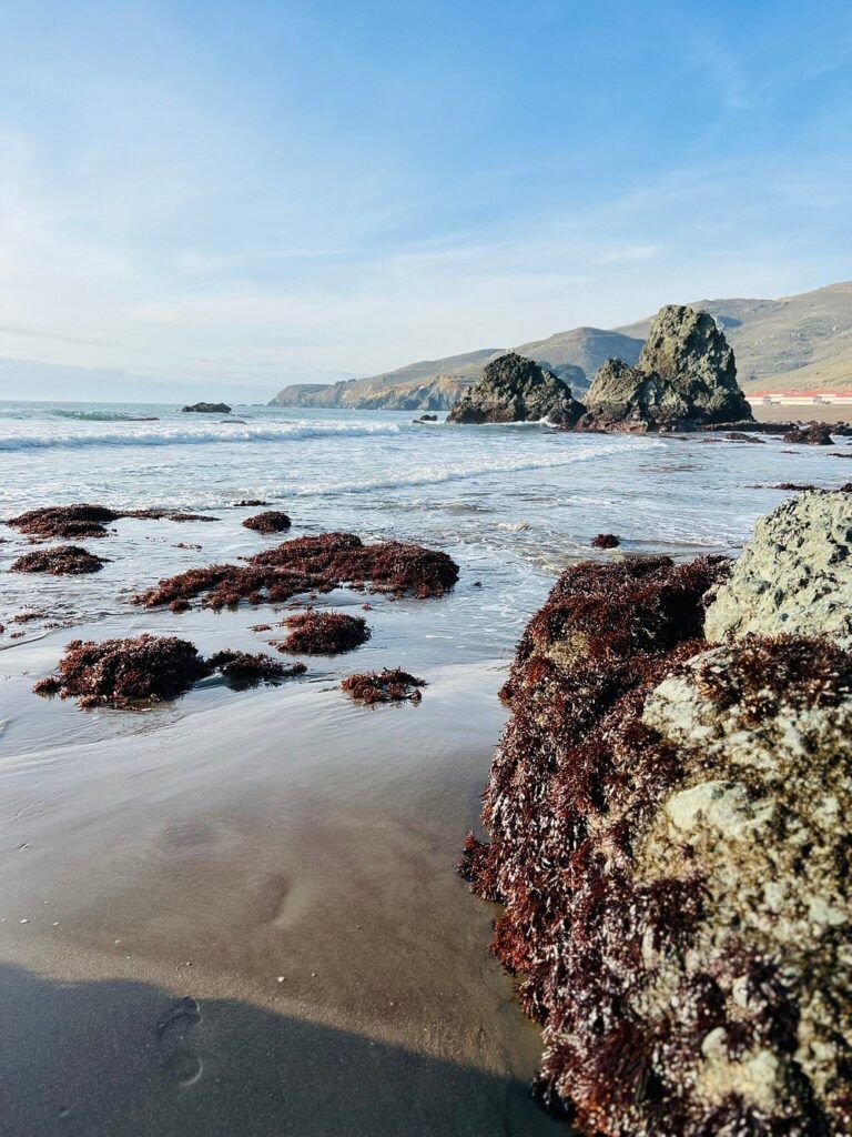 Rodeo Beach