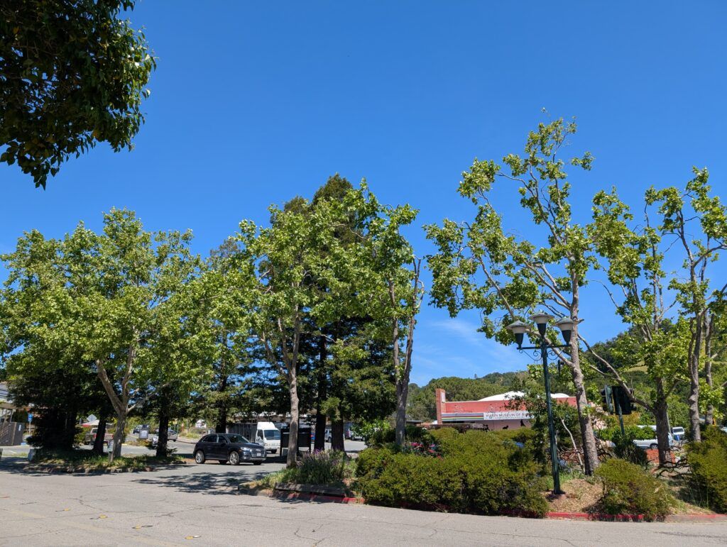 Street Across From Mountain Bike Hall Of Fame