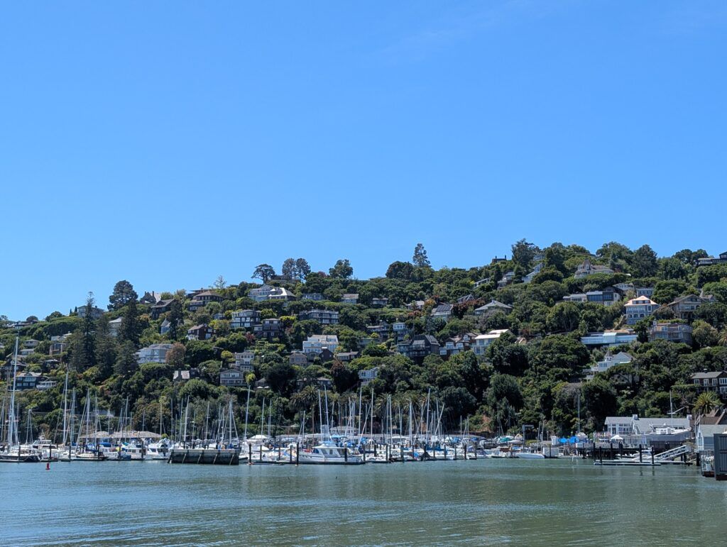 Tiburon