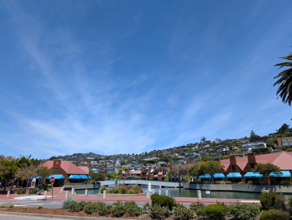 Tiburon