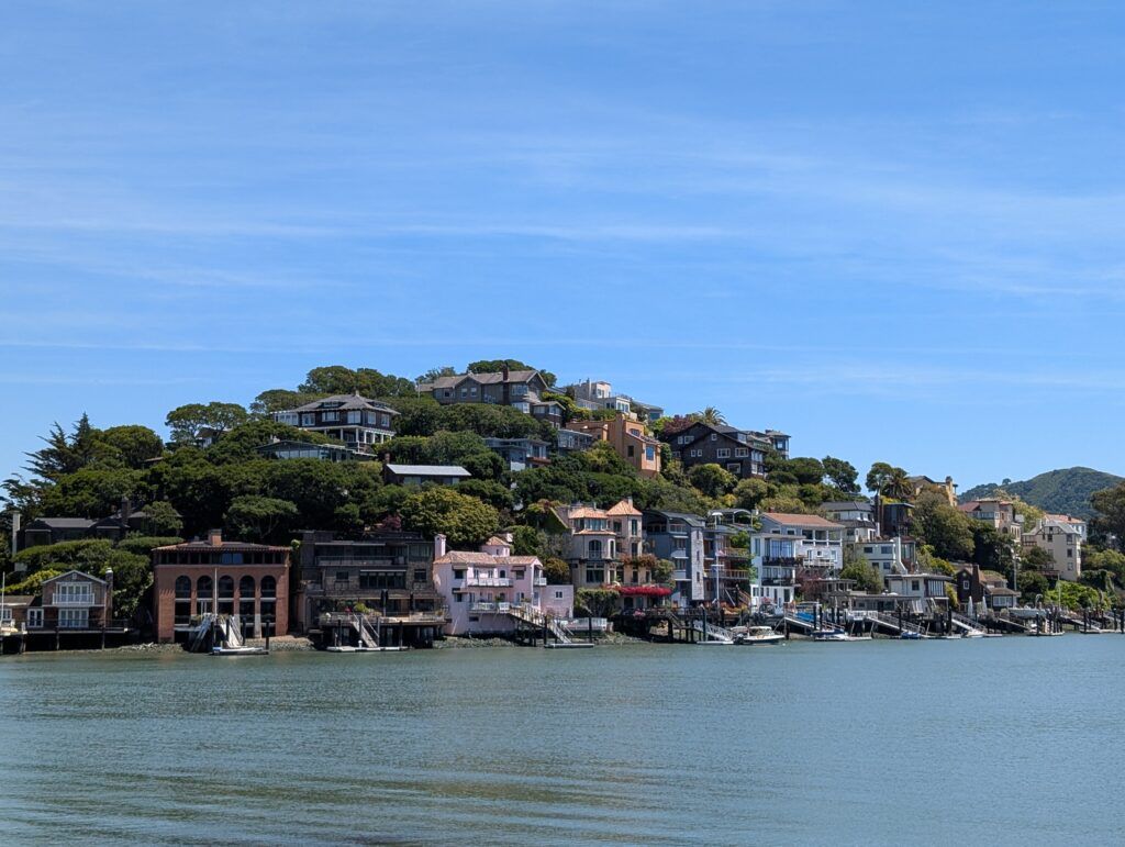 Tiburon