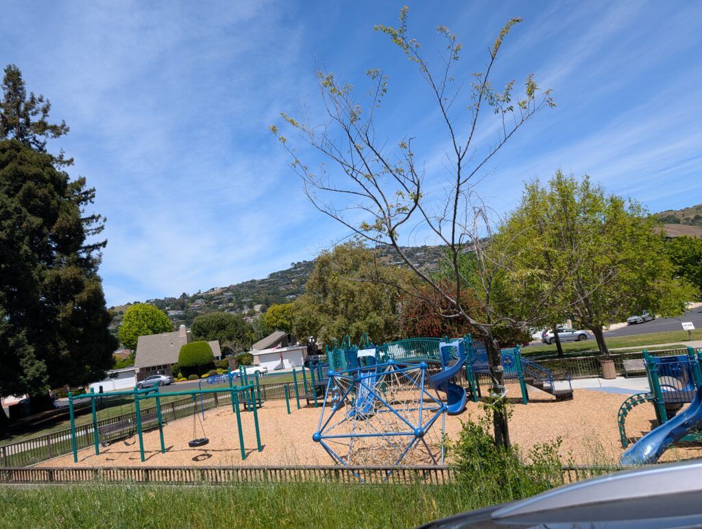 Tiburon