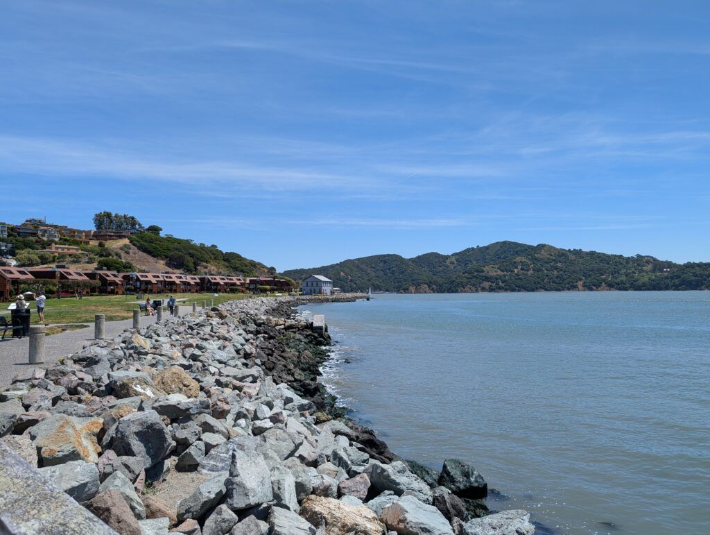 Tiburon
