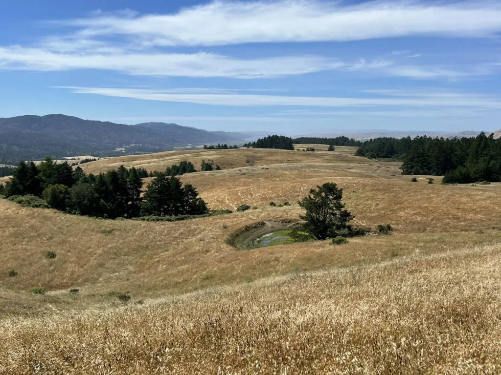 Bolinas Ridge Trail