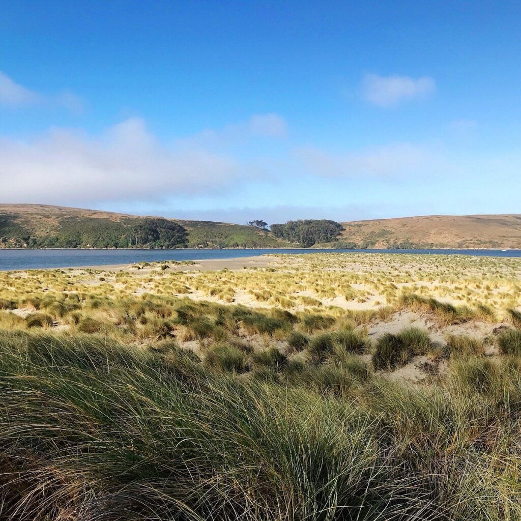Dillon Beach