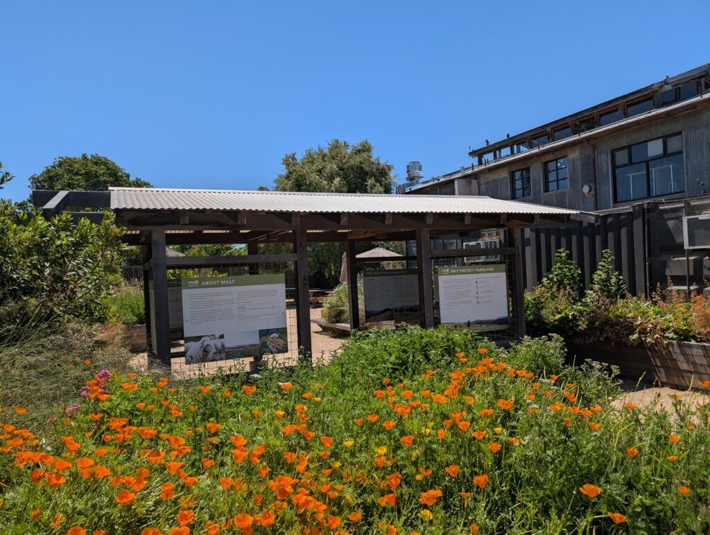 Point Reyes Station