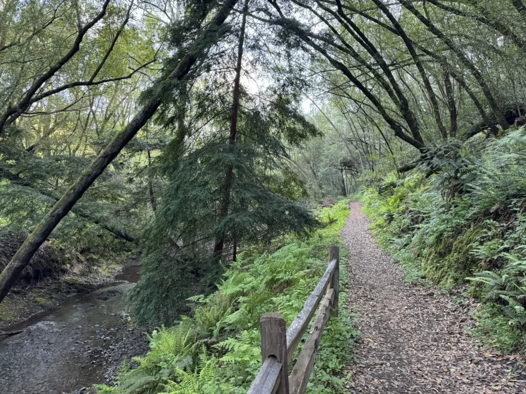 Samuel P. Taylor State Park